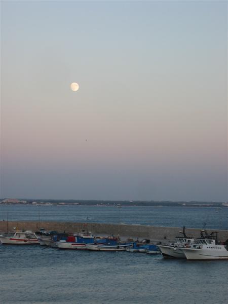 Gallipoli 8271